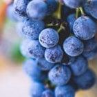 INVERTED TRIANGLE SHAPE- ECOURSE