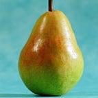 PEAR SHAPE- ECOURSE